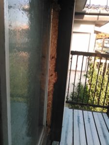 9月中旬・野田市内・アパートの戸袋いっぱいのモンスズメバチの巣駆除-1