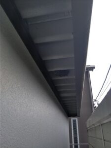 2024年9月末・流山市・プレハブの軒下にセグロアシナガバチの巣-2